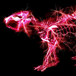 做爱免费现看无码
